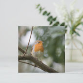 Robin Bird Natuur Photo Card (Staand voorkant)