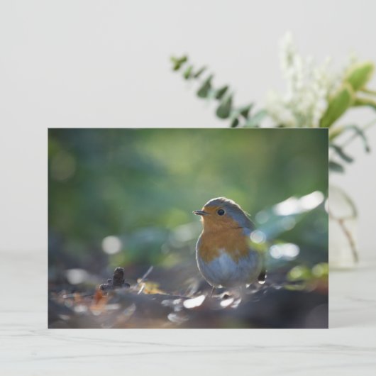 Robin Bird Natuur Photo Card (Staand voorkant)