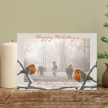 Robin Bird Overlay Kerstvakantie fotokaart
