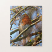 Robin Bird Puzzle Legpuzzel (Verticaal)