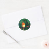 Robin bird ronde sticker (Envelop)