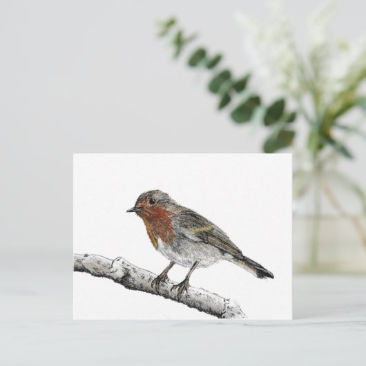 Robin Bird Sketch Briefkaart (Staand voorkant)