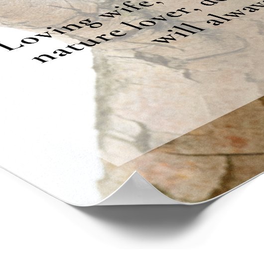 Robin Bird Watcher, Feest van het Leven Foto Poster (Hoek)