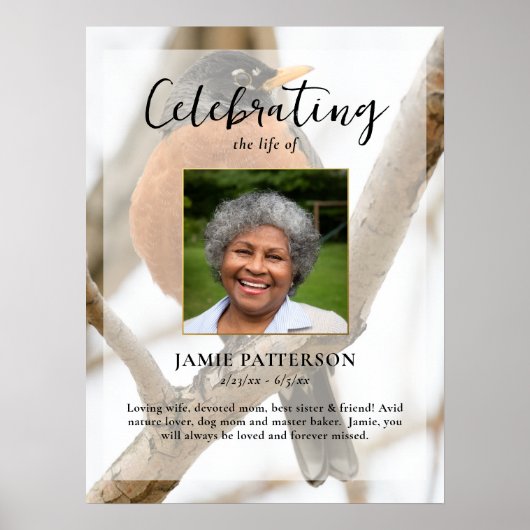 Robin Bird Watcher, Viering van het Leven Foto Poster (Voorkant)