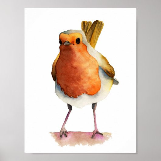 Robin Bird Waterverf Painting Poster (Voorkant)