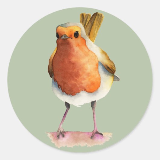 Robin Bird Waterverf Painting Ronde Sticker (Voorkant)