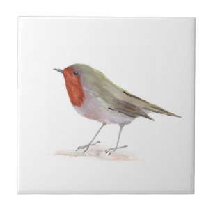 Robin Bird Wildlife Waterverf  Kleurrijk Tegeltje