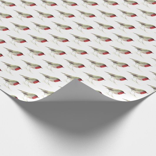 Robin Bird Woodland Xmas Schattigee waterverf Cadeaupapier (Hoek)