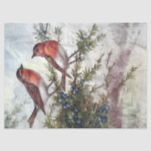 Robin Birds Artistic Decoupage Tissue Paper Tissuepapier (Voorkant)