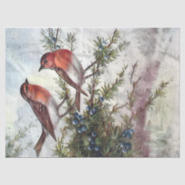 Robin Birds Artistic Decoupage Tissue Paper Tissuepapier