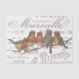 Robin Birds  Franse stadsnamen Tissue Paper Tissuepapier
