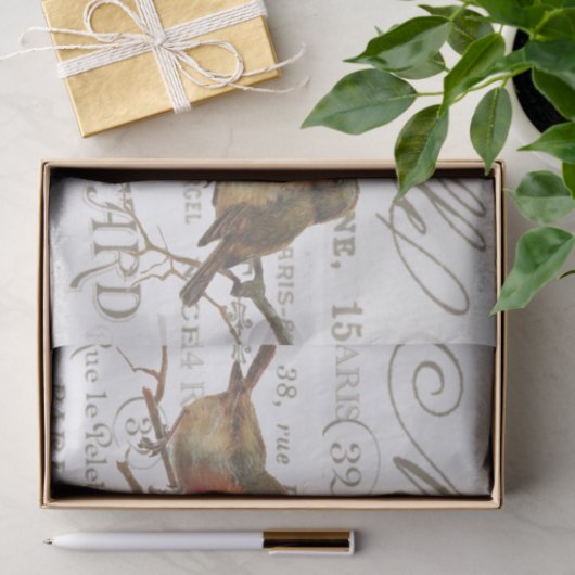Robin Birds  Franse stadsnamen Tissue Paper Tissuepapier (Geschenk)