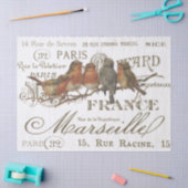 Robin Birds  French City Names Decoupage Tissuepapier (Craft)