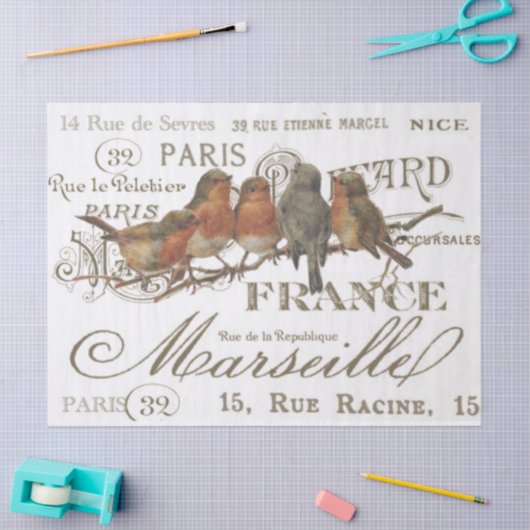 Robin Birds  French City Names Decoupage Tissuepapier (Craft)