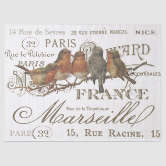 Robin Birds  French City Names Decoupage Tissuepapier (Voorkant)