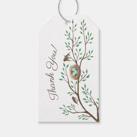 Robin Birds Nest Eggs Spring Baby shower Cadeaulabel (Voorkant)