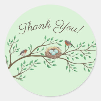 Robin Birds Nest Eggs Spring Baby shower Ronde Sticker