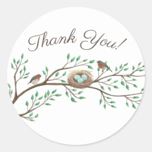 Robin Birds Nest Eggs Spring Baby shower Ronde Sticker