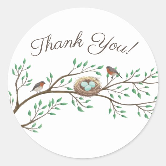 Robin Birds Nest Eggs Spring Baby shower Ronde Sticker (Voorkant)