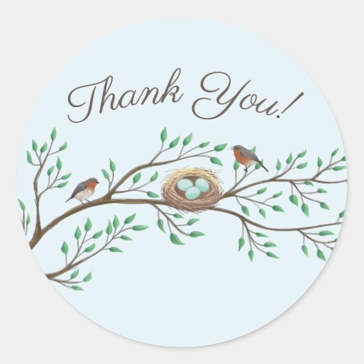 Robin Birds Nest Eggs Spring Baby shower Ronde Sticker (Voorkant)