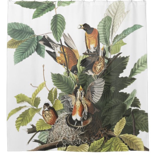 Robin Birds Wildlife Nest Audubon Shower Curtain Douchegordijn (Voorkant)