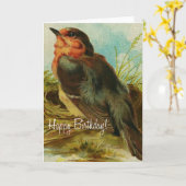 Robin Birthday Kaart (Gele Bloem)