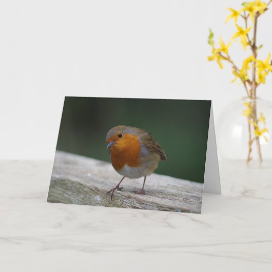 Robin Birthday Kaart (Gele Bloem)