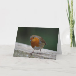 Robin Birthday Kaart