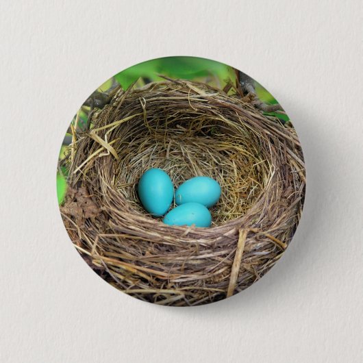 Robin Blue Eggs Button (Voorkant)