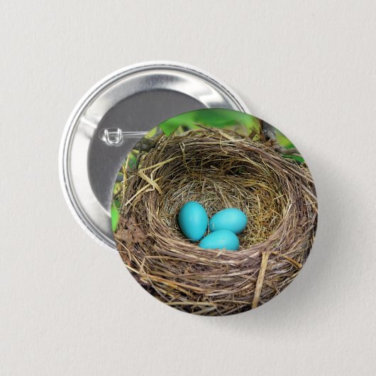 Robin Blue Eggs Button (Voorkant /achterkant)