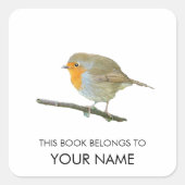 Robin Book Sticker (Voorkant)