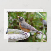 Robin Briefkaart (Voorkant / Achterkant)