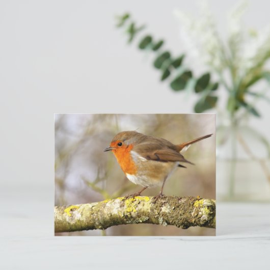 Robin Briefkaart (Staand voorkant)