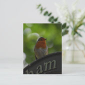 Robin Briefkaart (Staand voorkant)