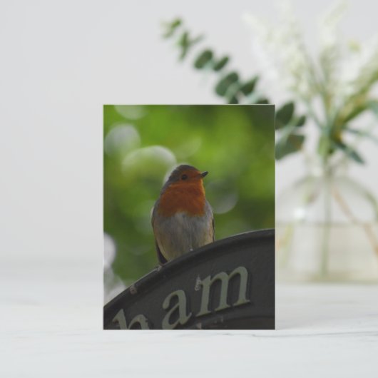 Robin Briefkaart (Staand voorkant)