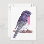 Robin Briefkaart (Voorkant / Achterkant)