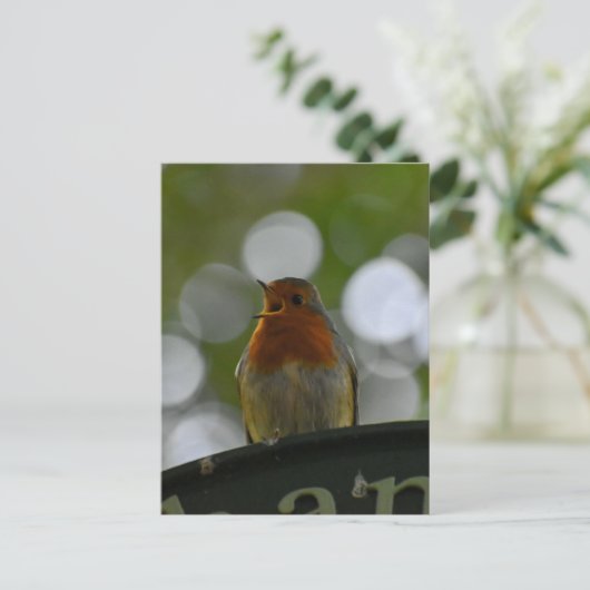 Robin Briefkaart (Staand voorkant)