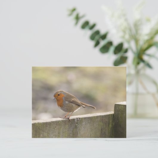 Robin Briefkaart (Staand voorkant)