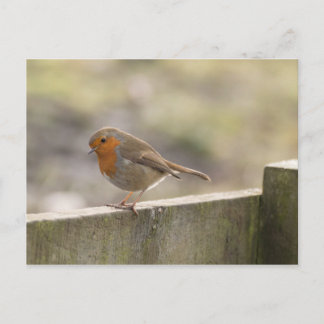 Robin Briefkaart