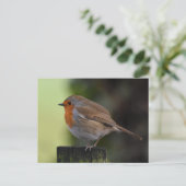 Robin Briefkaart (Staand voorkant)