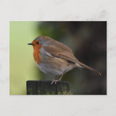 Robin Briefkaart (Voorkant)