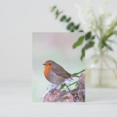 Robin Briefkaart (Staand voorkant)