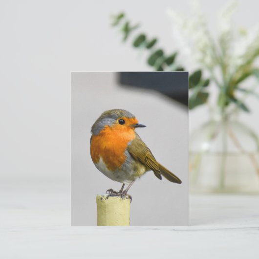 Robin Briefkaart (Staand voorkant)