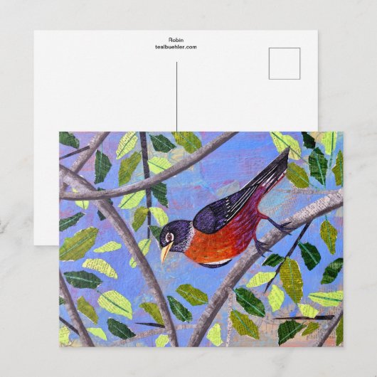 Robin Briefkaart (Voorkant / Achterkant)