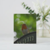 Robin Briefkaart (Staand voorkant)