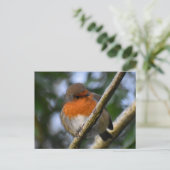 Robin Briefkaart (Staand voorkant)