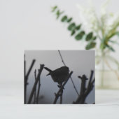 Robin  briefkaart (Staand voorkant)