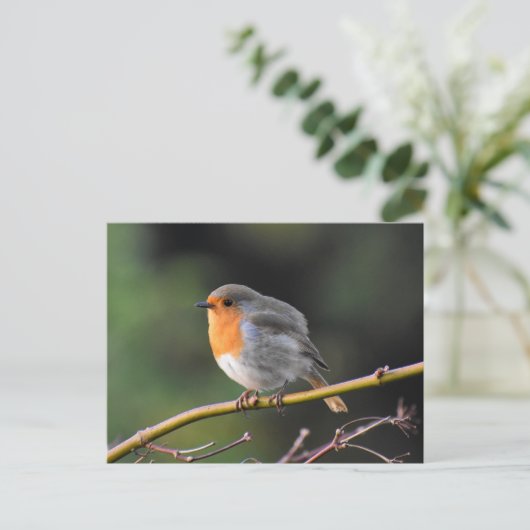 Robin Briefkaart (Staand voorkant)