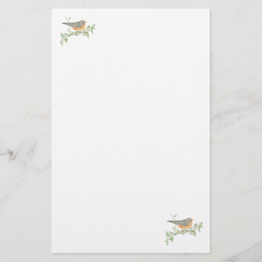 Robin Briefpapier (Voorkant)