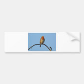 Robin Bumpersticker (Voorkant)